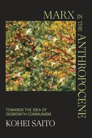 Marx in the Anthropocene: Towards the Idea of Degrowth Communism (Hardback)